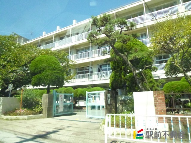 【福岡市中央区赤坂のマンションの小学校】