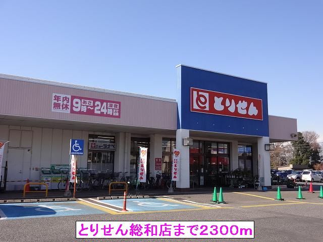 スーパー　とりせん総和店（スーパー）まで2300m