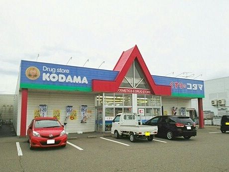 ドラックストア　くすりのコダマ（ドラッグストア）まで770m