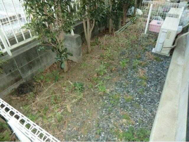 庭