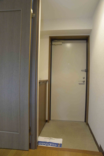 玄関　同タイプ写真転用／現況確認要