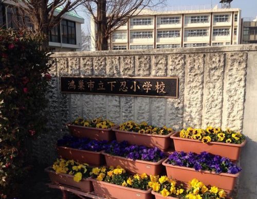 小学校　鴻巣市立下忍小学校（小学校）まで642m