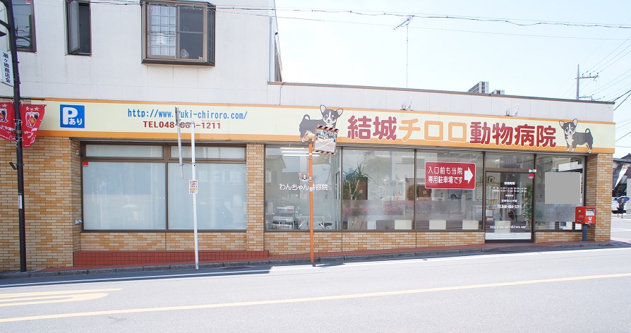 病院　結城チロロ動物病院（病院）まで180m
