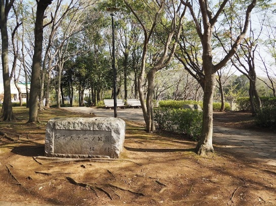 公園　桜南スポーツ公園（公園）まで250m