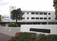 小学校　府中第五小学校（小学校）まで613m