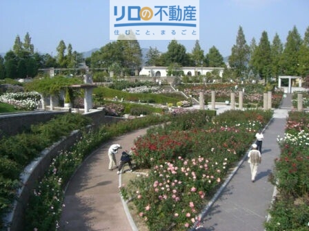 公園　荒牧バラ公園（公園）まで397m