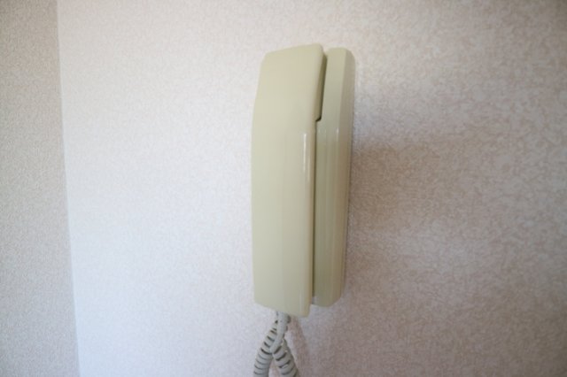 ラフィーネ二ツ屋のその他写真