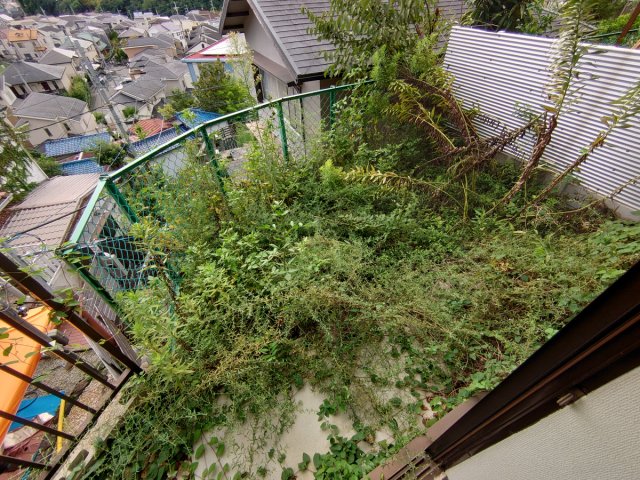 ハイム山本の内装写真