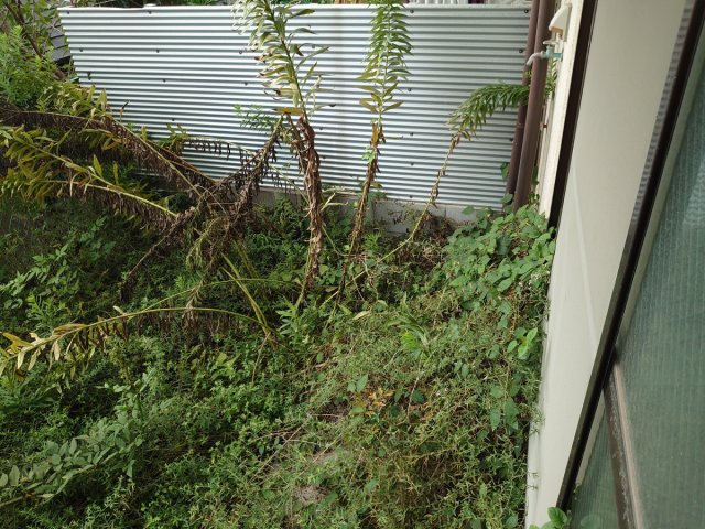ハイム山本のその他写真