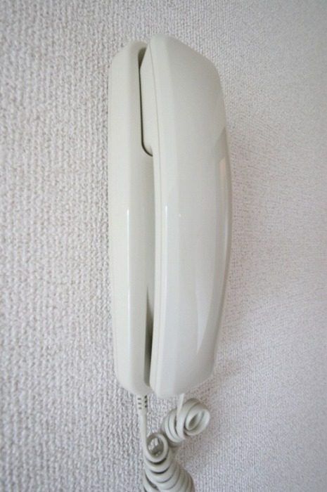 セキュリティ　同型イメージ
