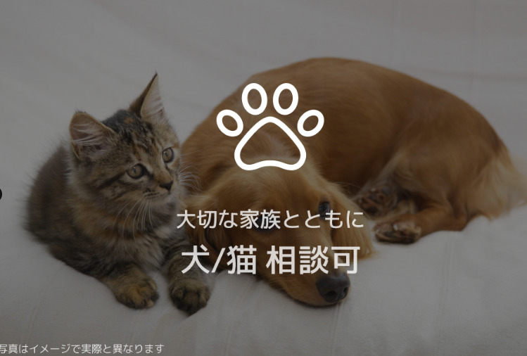 ＪＲ豊肥本線 水前寺駅 徒歩7分 4階建 新築のその他写真