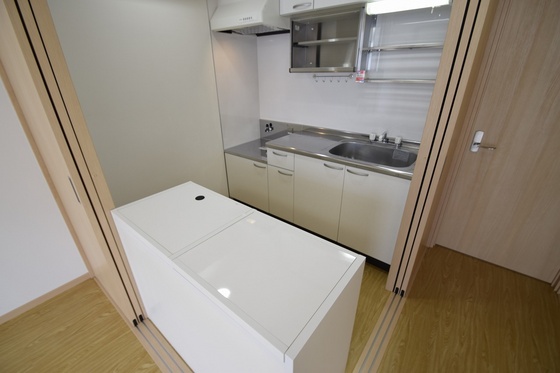 キッチン　他号室のお写真です