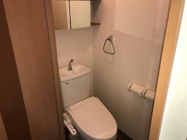 メゾン サンフィットのトイレ写真