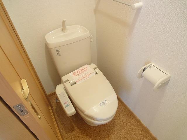 メゾンドリカムIIIのトイレ写真
