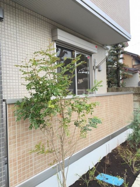 セリーヌコートNのその他写真