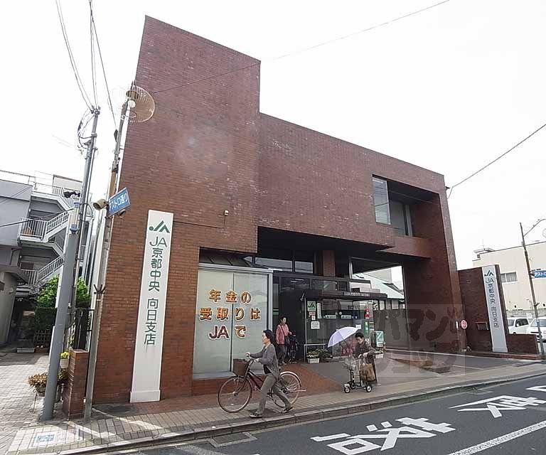 銀行　ＪＡ京都中央 向日支店（銀行）まで500m