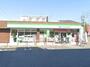 コンビニ　ファミリーマート 守山城南町店（コンビニ）まで260m