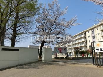 小学校　松戸市立横須賀小学校（小学校）まで401m
