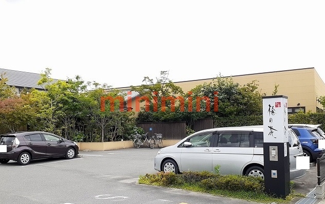 その他　梅の花（その他）まで400m