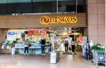 スーパー　リンコス九段店（スーパー）まで447m
