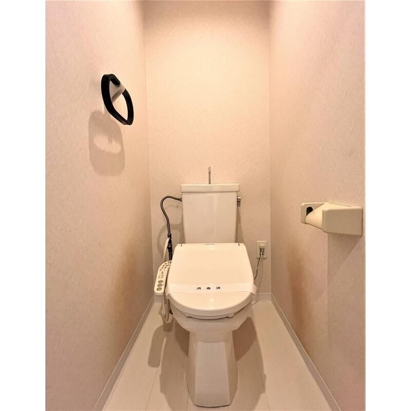 グレース津久野Iのトイレ写真