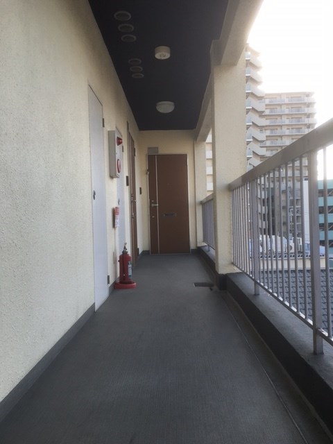 フェニックスさかいの外観写真
