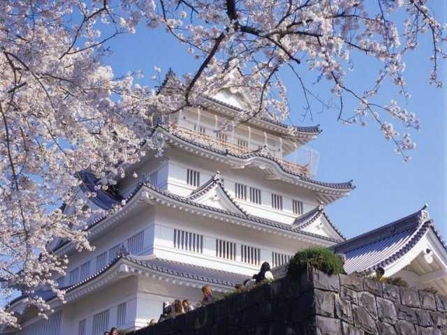 公園　亥鼻公園（公園）まで1000m