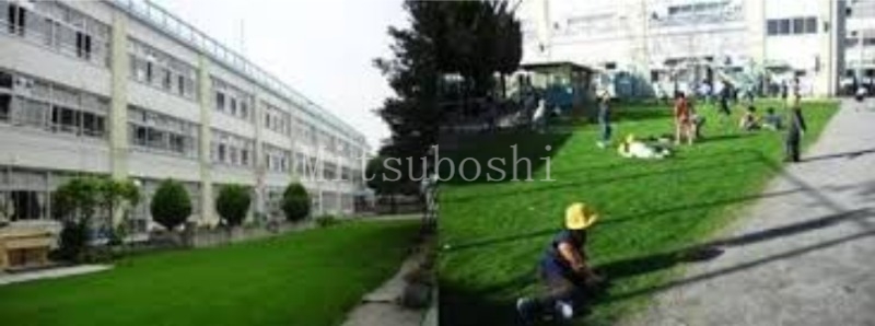 小学校　杉並区立西田小学校（小学校）まで1114m