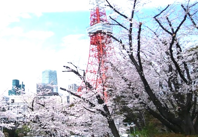 【港区浜松町のマンションの公園】