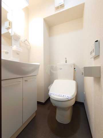 トイレ　レゴリス