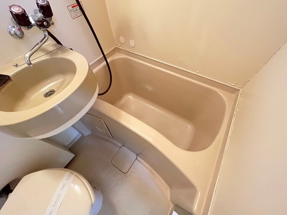 バス・シャワールーム　※別部屋の写真です