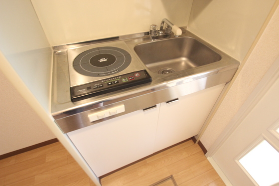 キッチン　※写真は別号室です