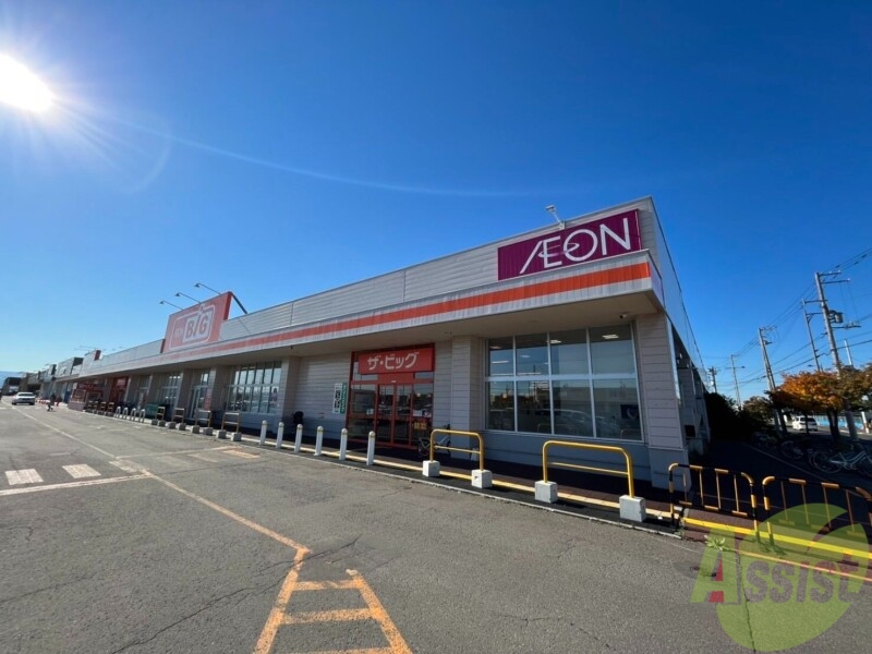 スーパー　ザ・ビッグ東雁来店（スーパー）まで808m