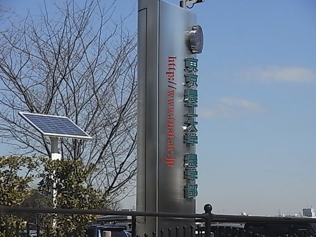 その他　東京農工大学（その他）まで525m