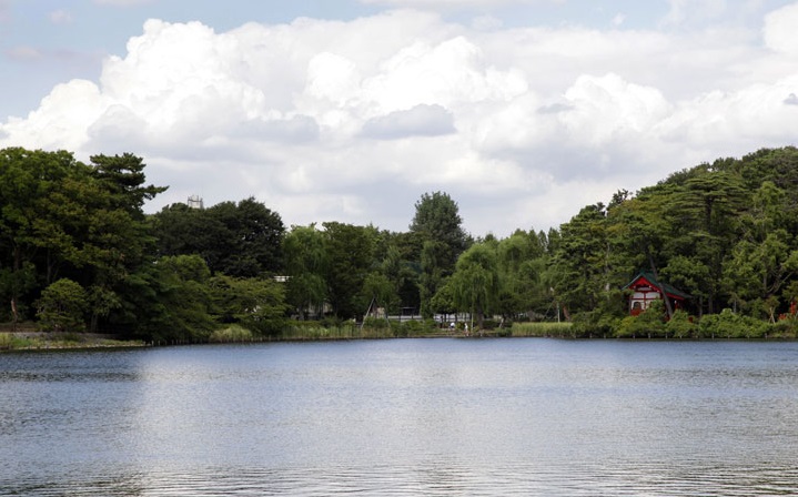 公園　洗足池（公園）まで595m