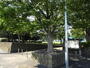 公園　太田中央公園（公園）まで854m