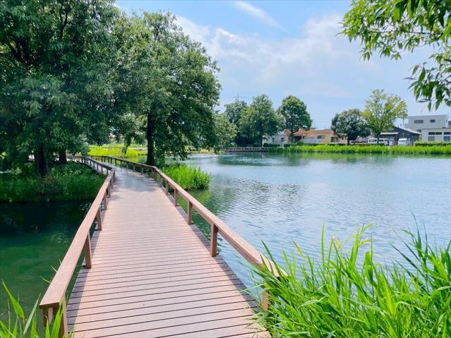 公園　中郷温水池（公園）まで920m