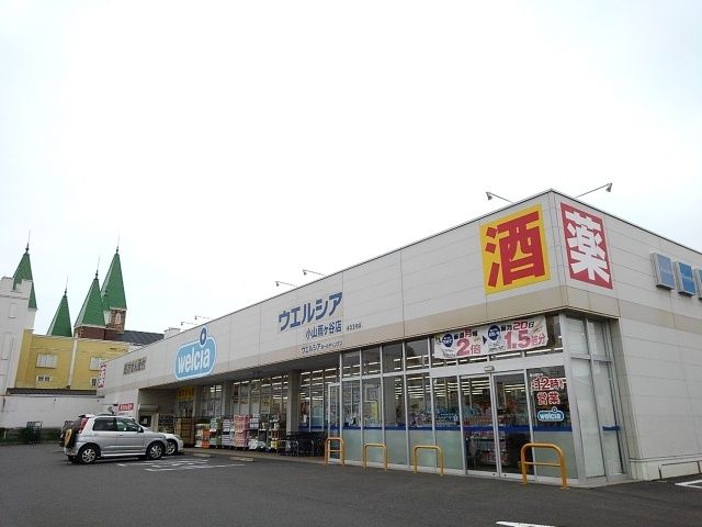 ドラックストア　ウエルシア小山雨ヶ谷店（ドラッグストア）まで1000m
