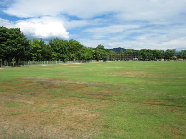 【リヨン　鯖江　０２の公園】