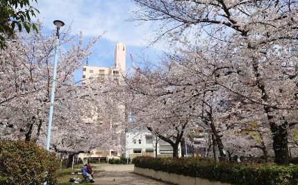 【大阪市北区菅原町のマンションの公園】