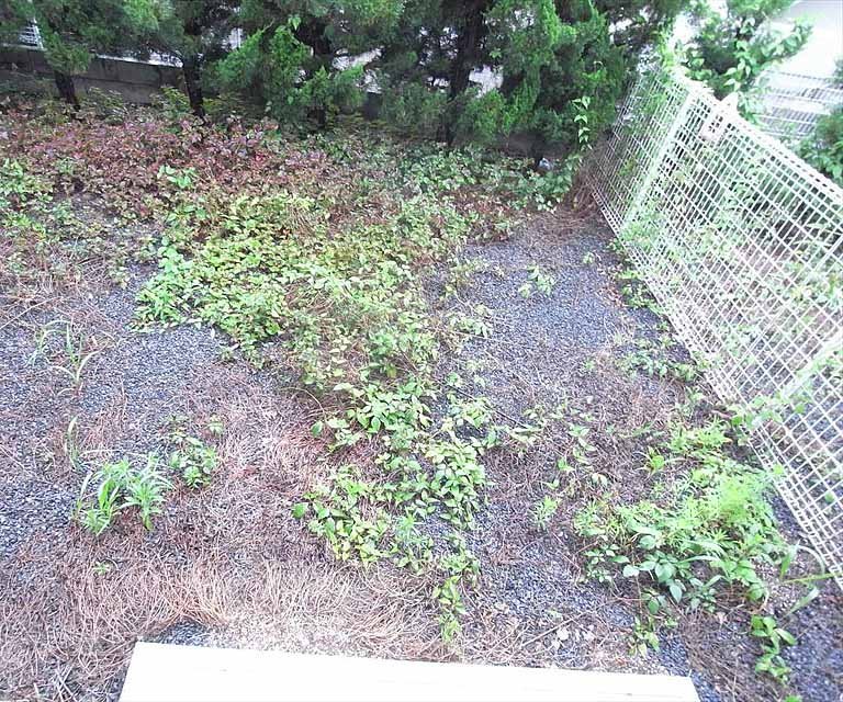 バルコニー　１Ｆは、庭です