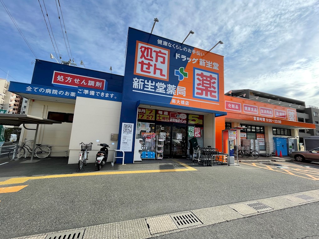ドラックストア　ドラッグ新生堂 南大橋店（ドラッグストア）まで602m