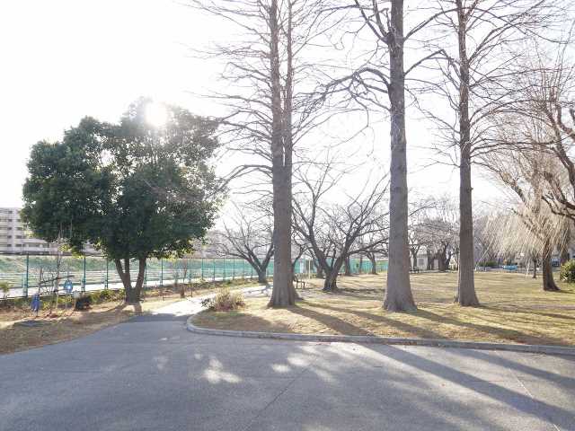 公園　佐江戸公園（公園）まで1747m