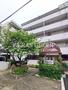 パレドール石川台 4階 築40年10ヶ月の賃貸物件