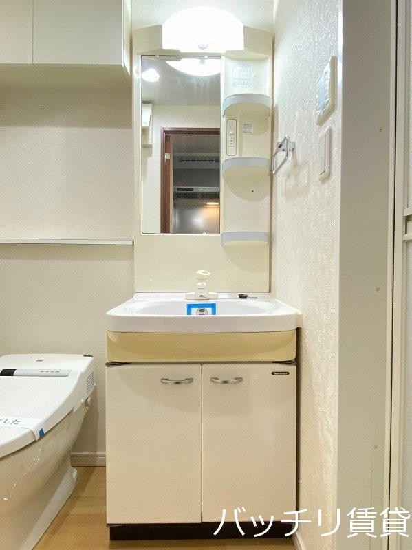 洗面設備　画像は別号室タイプの為、現状を優先いたします