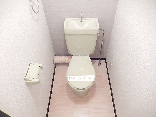 ソミュール大橋のトイレ写真