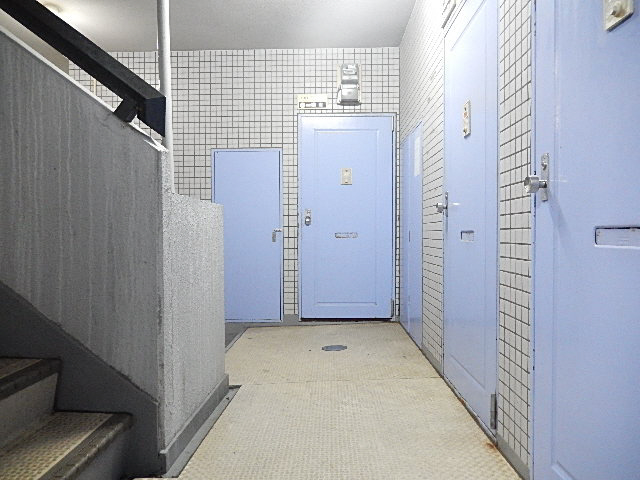 ソミュール大橋の外観写真