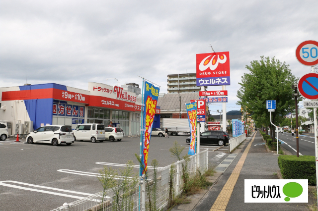 ドラックストア　ドラッグストアウェルネス学園店（ドラッグストア）まで1271m