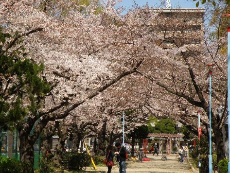 【昭和グランドハイツ大淀の公園】