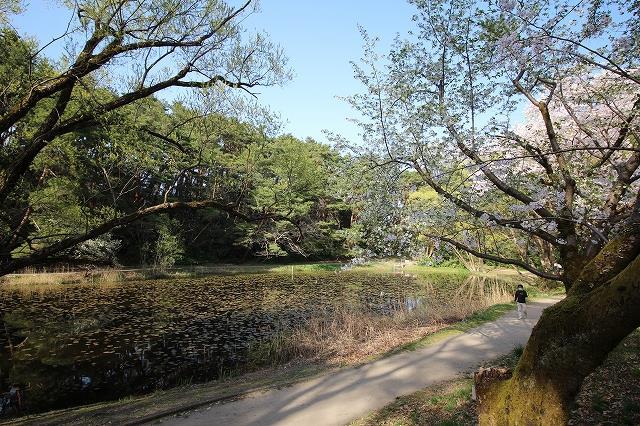 【プロムナードの公園】